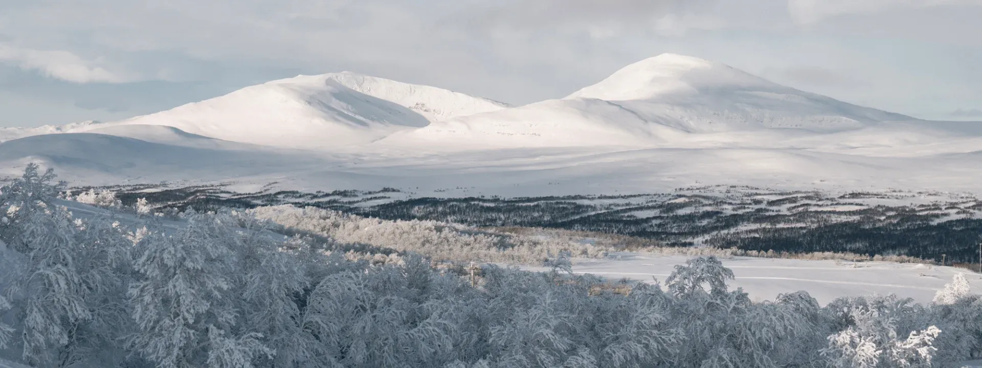 Snöklädda fjäll bakom en rand av rimfrostig skog.