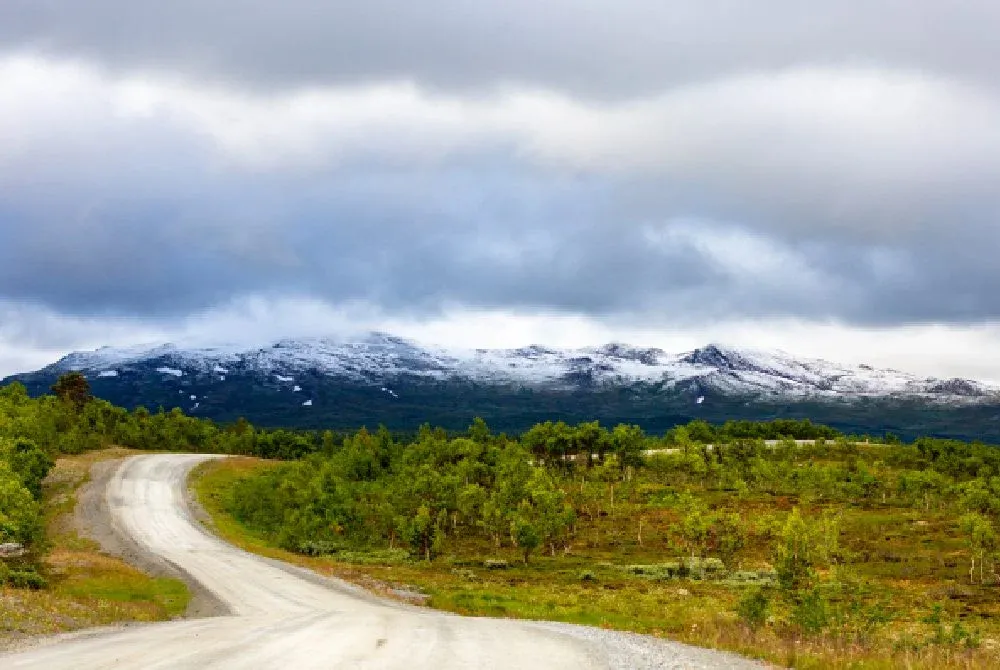 Grusväg som slingrar sig fram genom fjällbjörkskog mot snöfläckade fjäll.